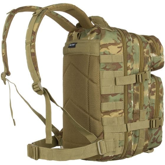 Mil-Tec MOLLE US Assault Pack Small Arid Woodland